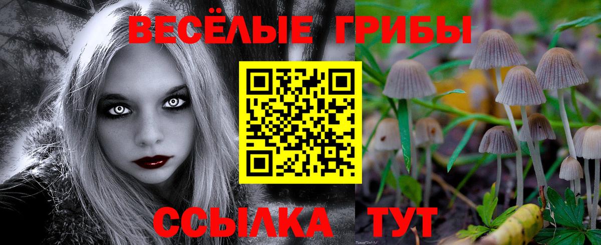 Галлюциногенные грибы Psilocybine cubensis Новоуральск